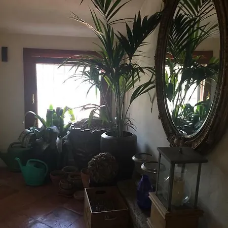 Podesta Guest house